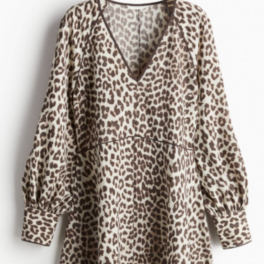 H&M Animal Print Flare Dress